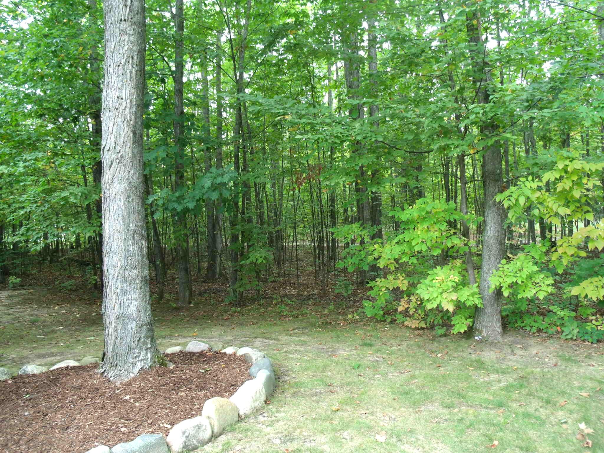 Wolverine, Michigan 49799, United States, 2 Bedrooms Bedrooms, ,2 BathroomsBathrooms,Residential,Active,217530