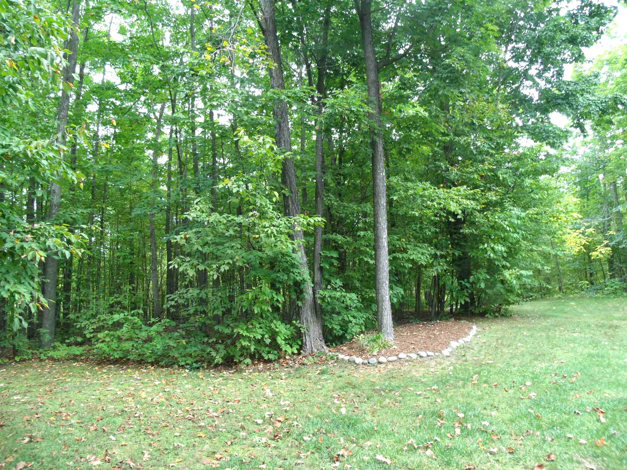 Wolverine, Michigan 49799, United States, 2 Bedrooms Bedrooms, ,2 BathroomsBathrooms,Residential,Active,217530