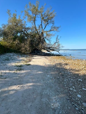 N STATE ST, SAINT IGNACE, MI 49781 - Image b51ef83e2ccbe416a9cf8eefd3d57b3d/308561050
