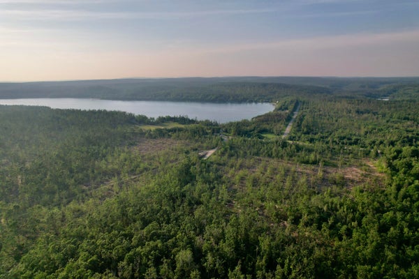 1308 MAGEE RD, VANDERBILT, MI 49795 - Image b5d83172a9df6fa107d5ae7326e8cae7/312055906