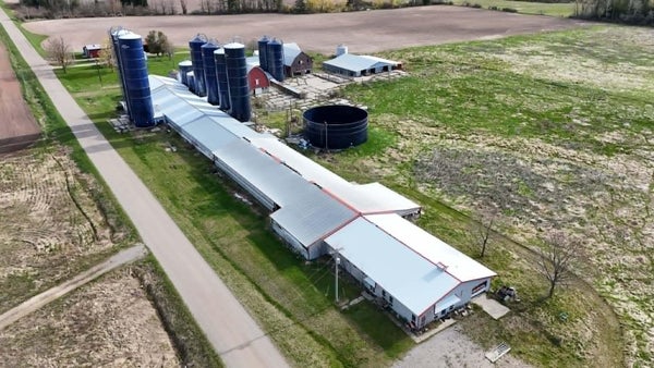 409 S COVILLE RD, HARRISVILLE, MI 48740 - Image b905bc04565acc4b4f1174c237bf64db/760912362