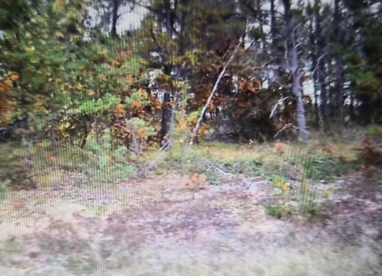 NORTHWOOD DR, GRAYLING, MI 49738 - Image ba97dcccde4f10f8fa82cb83979046fb/3125469235