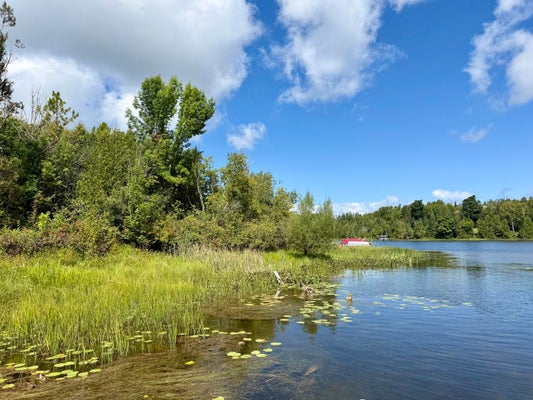 3181 CANTON RD, CHEBOYGAN, MI 49721 - Image be5dc1e33bdf156a9413f71dfd2d0a8c/2209426321
