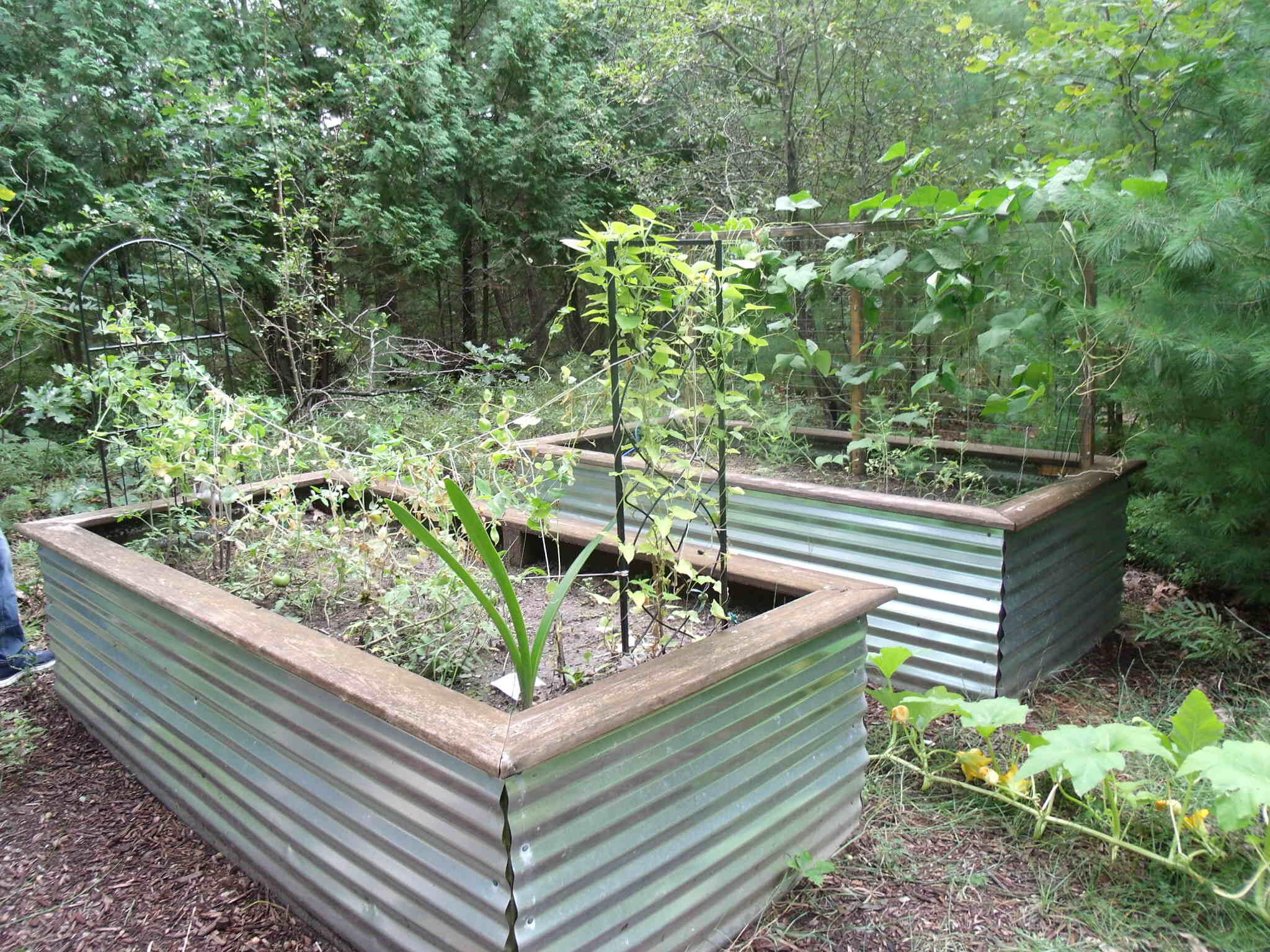 Indian River, Michigan 49749, United States, 5 Bedrooms Bedrooms, ,5 BathroomsBathrooms,Residential,Active,212859