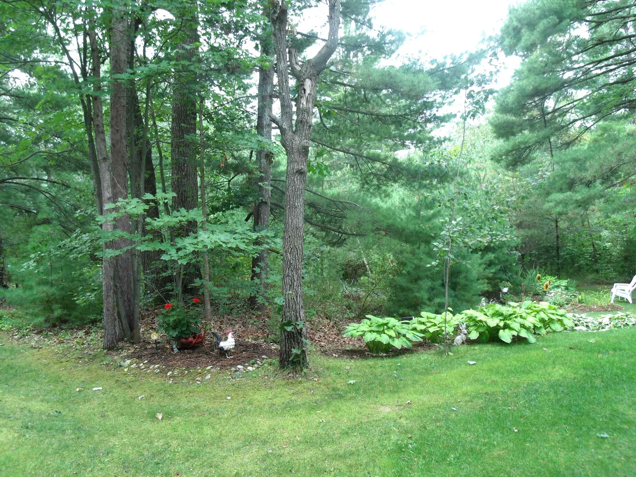 Indian River, Michigan 49749, United States, 5 Bedrooms Bedrooms, ,5 BathroomsBathrooms,Residential,Active,212859