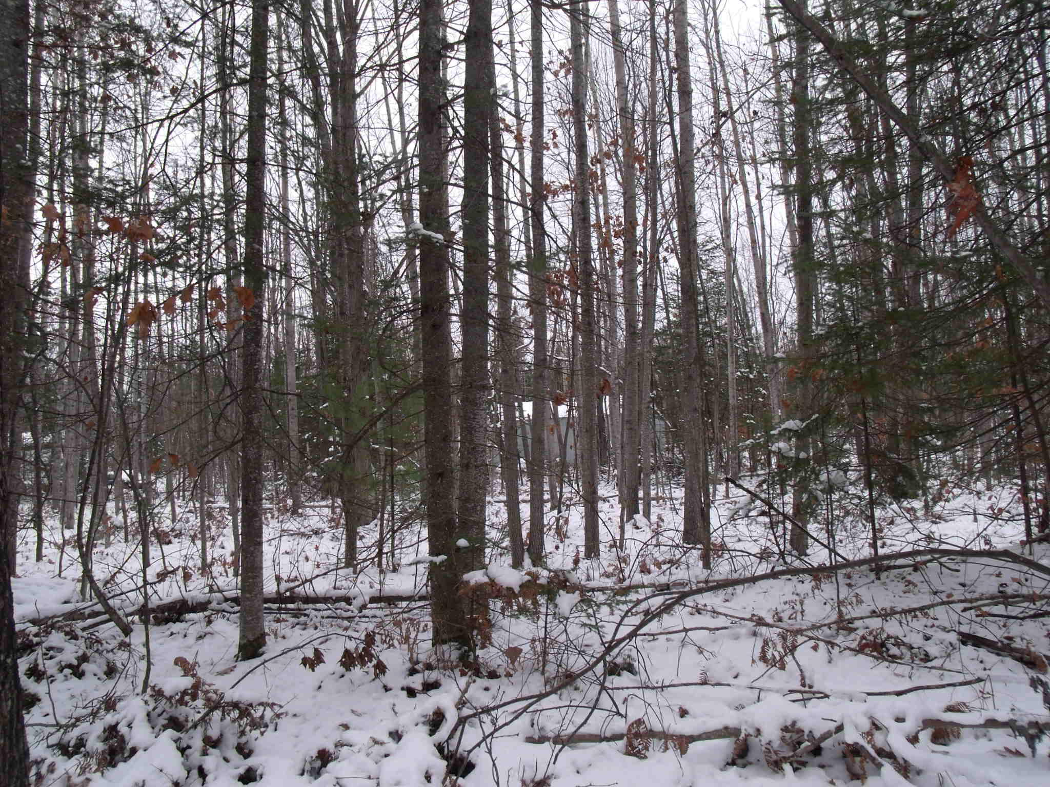 Cheboygan, Michigan 49721, United States, ,Land,Active,249049