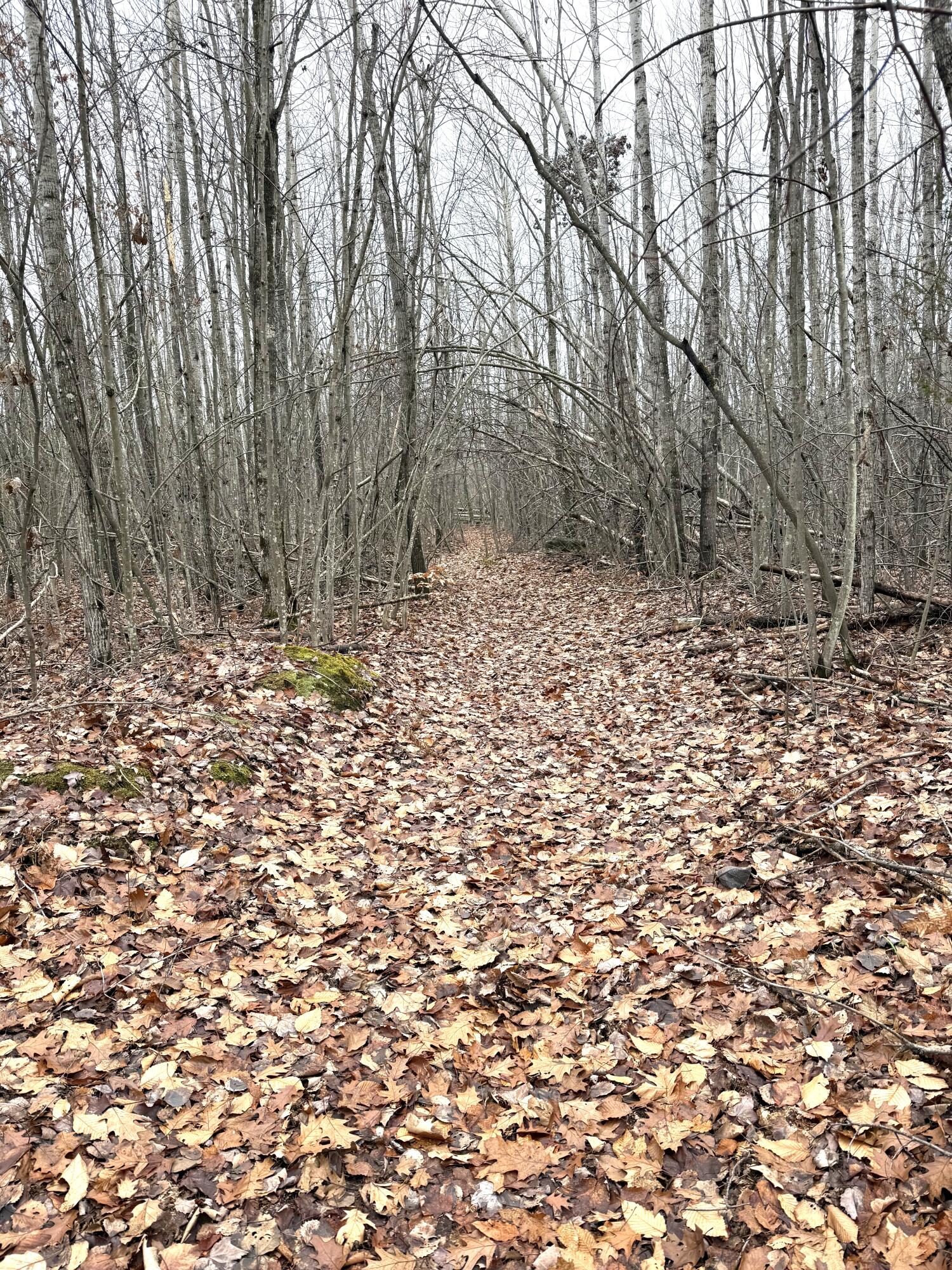 Cheboygan, Michigan 49721, United States, ,Land,Active,249049