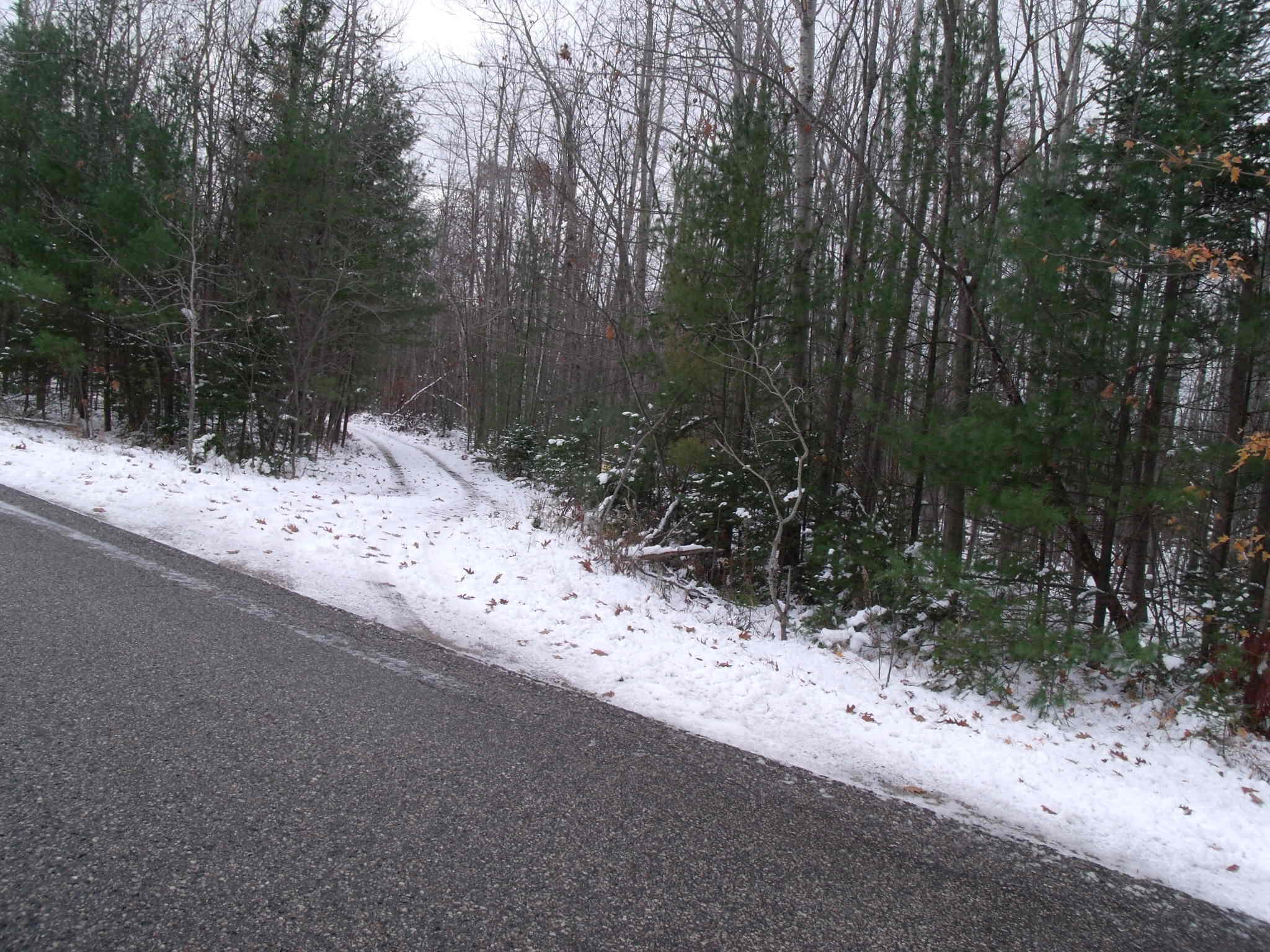 Cheboygan, Michigan 49721, United States, ,Land,Active,249049