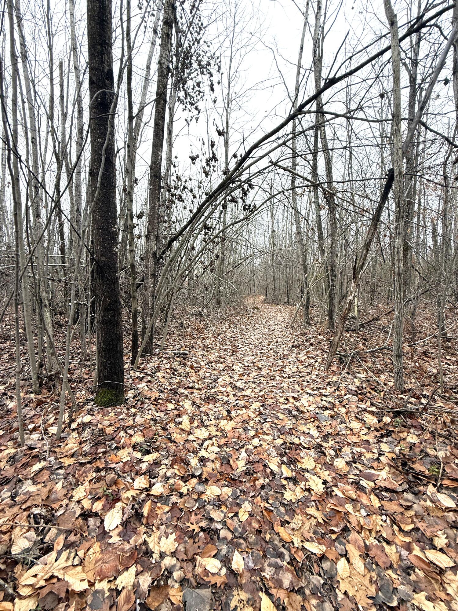 Cheboygan, Michigan 49721, United States, ,Land,Active,249049