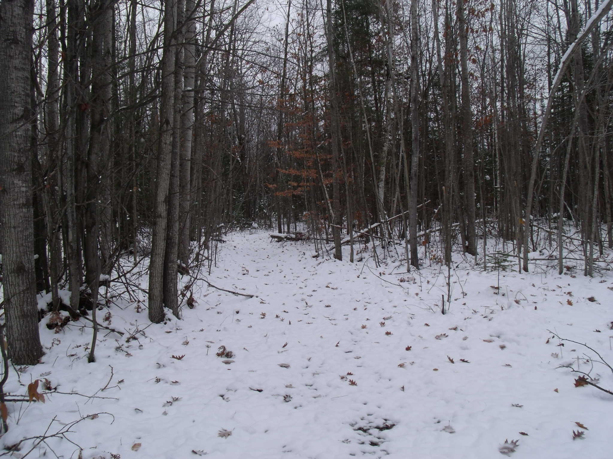 Cheboygan, Michigan 49721, United States, ,Land,Active,249049