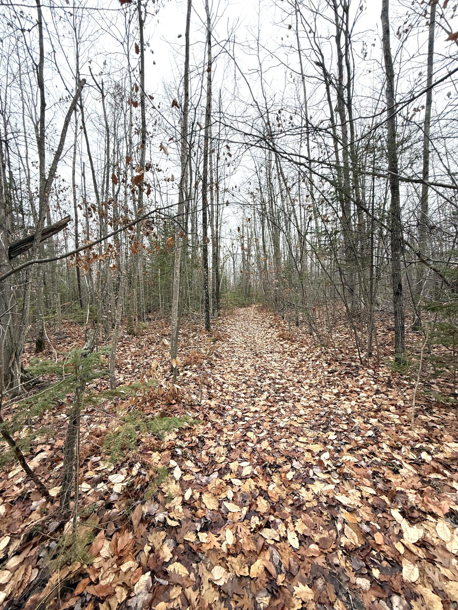 Cheboygan, Michigan 49721, United States, ,Land,Active,249049