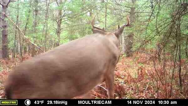 Cheboygan, Michigan 49721, United States, ,Land,Active,249049