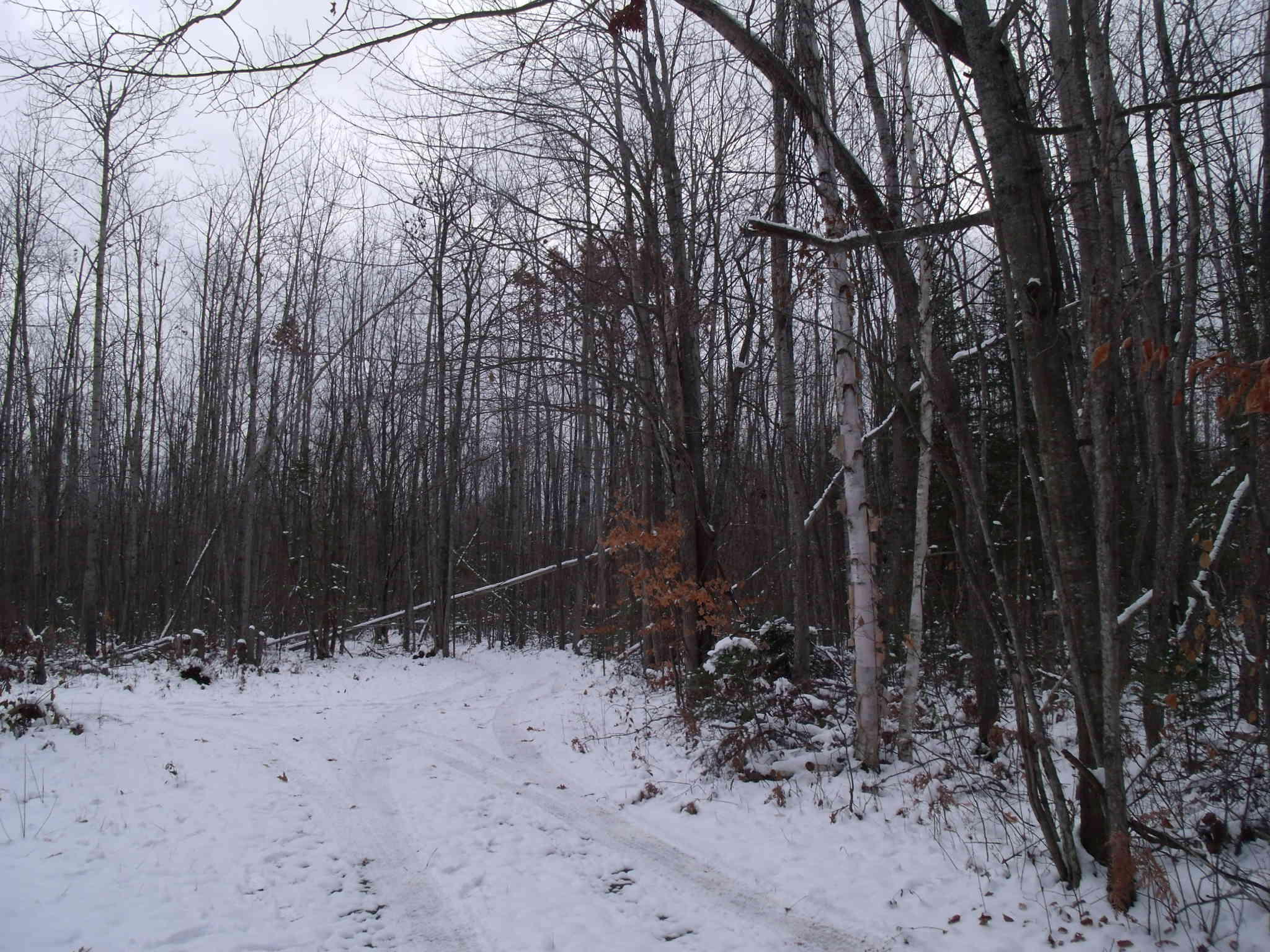 Cheboygan, Michigan 49721, United States, ,Land,Active,249049