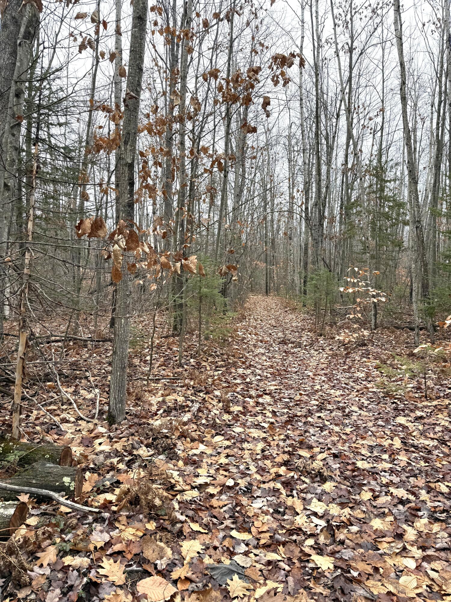 Cheboygan, Michigan 49721, United States, ,Land,Active,249049