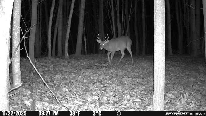 Cheboygan, Michigan 49721, United States, ,Land,Active,249049