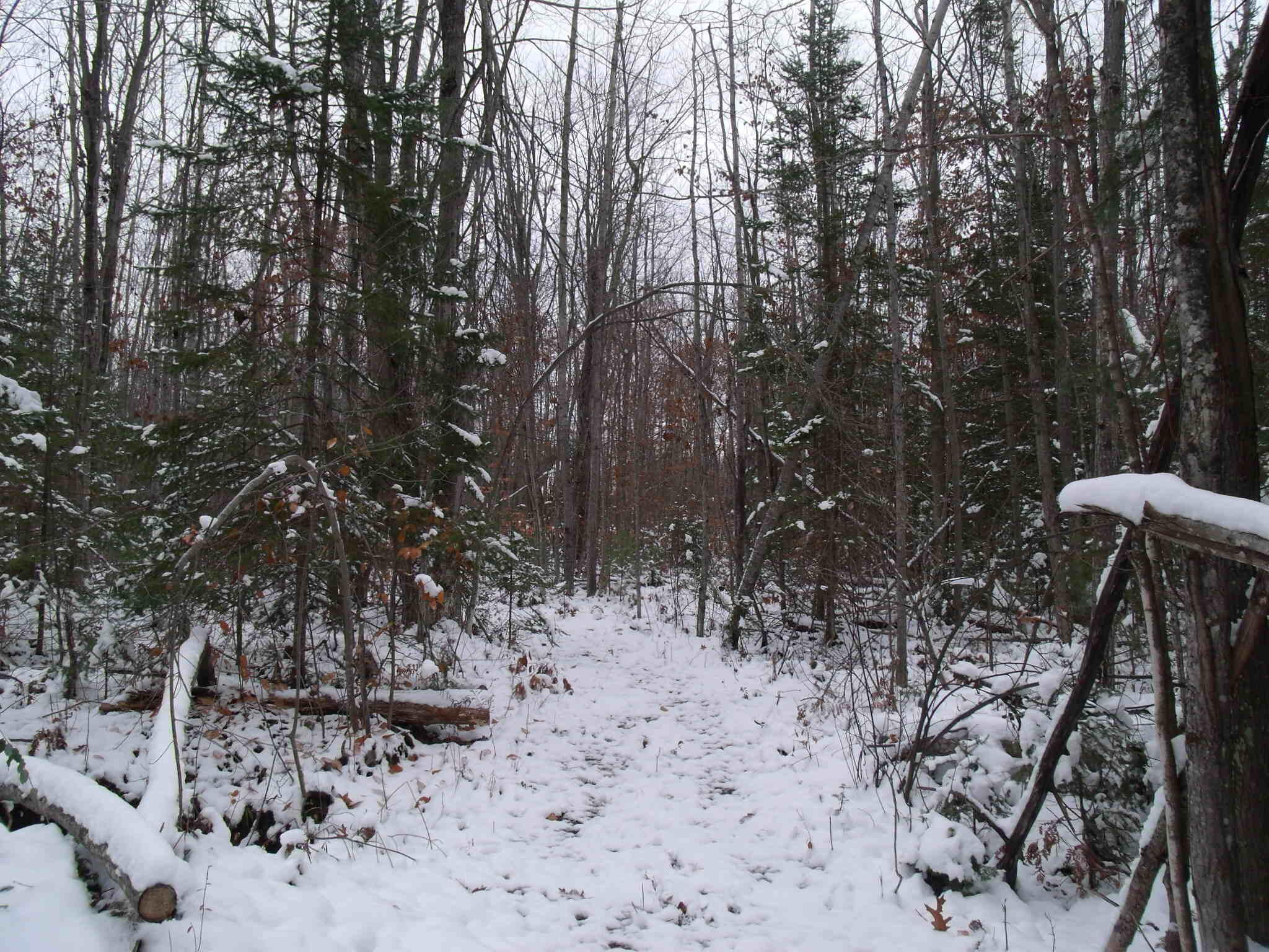 Cheboygan, Michigan 49721, United States, ,Land,Active,249049