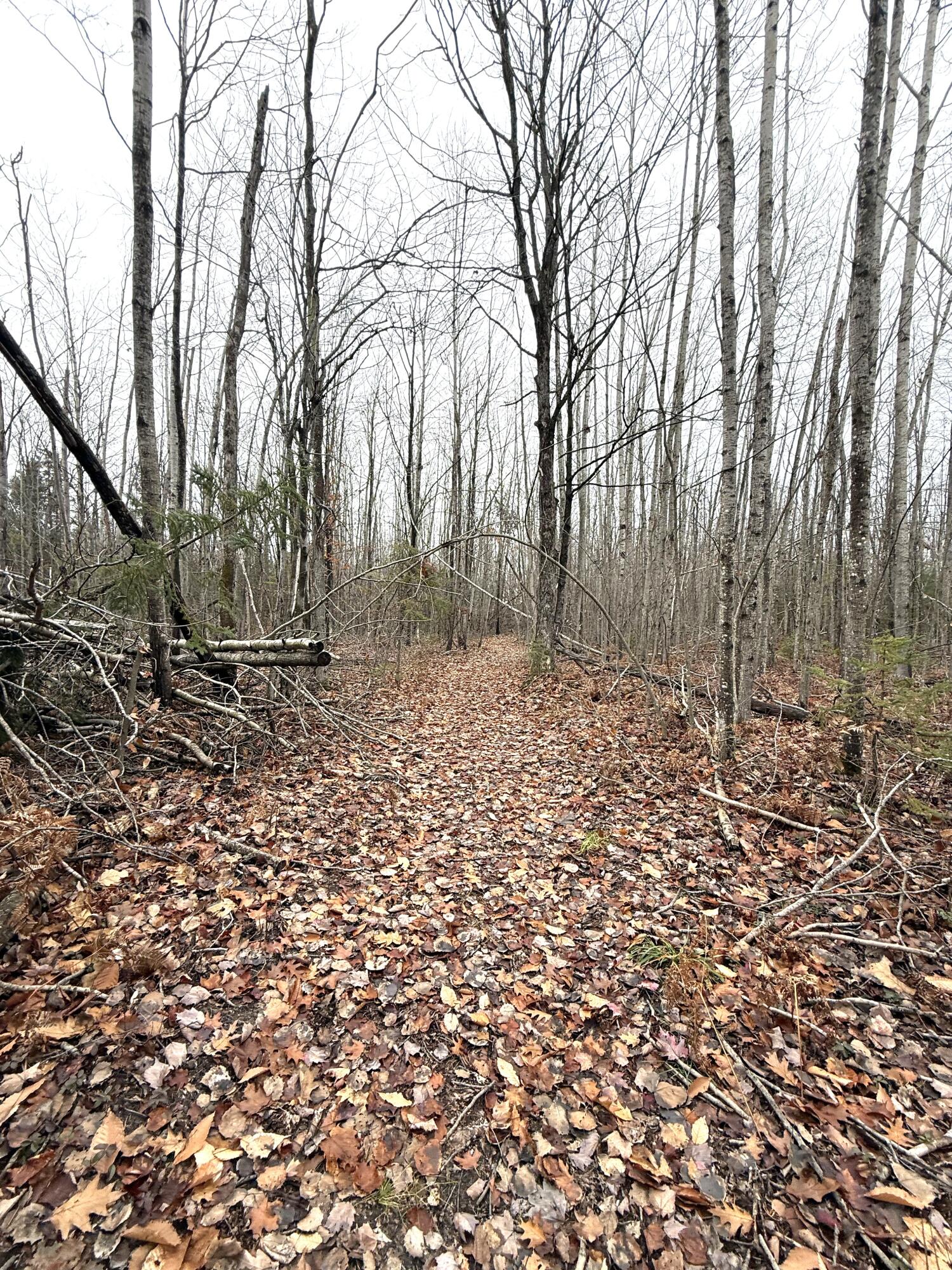 Cheboygan, Michigan 49721, United States, ,Land,Active,249049