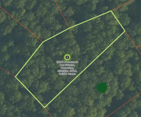 SQUARE TRL, WOLVERINE, MI 49799 - Image c4a878e62cc96efd8a4fa2c8038137b3/1870690571