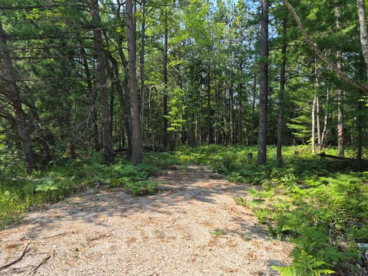 M 65, POSEN, MI 49776 - Image c4dce70390ad0f2a583d0ec0874ed43f/1950062012