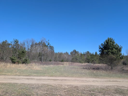 SOUTHWEST TRL, ATLANTA, MI 49709 - Image caaaa2f12ee54b20e7df64ff4845b19a/3643489024