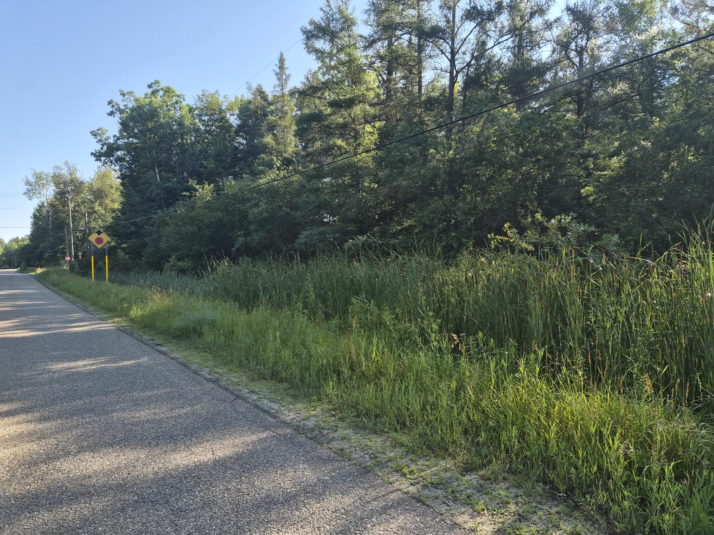 Photo 1 of 11 — V/L Eagle Point Road, Grayling, MI 49738
