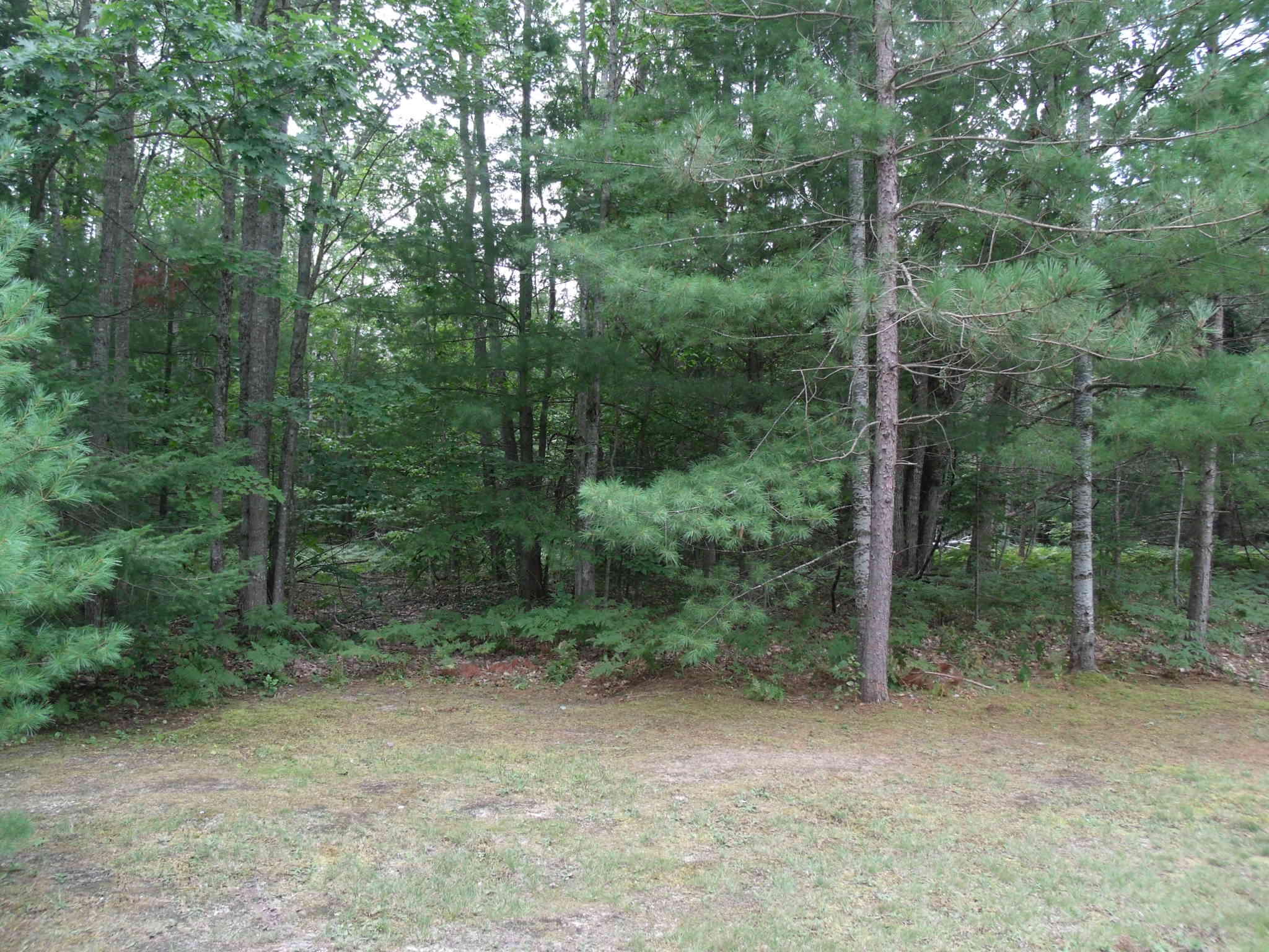 Cheboygan, Michigan 49721, United States, ,Land,Active,202841