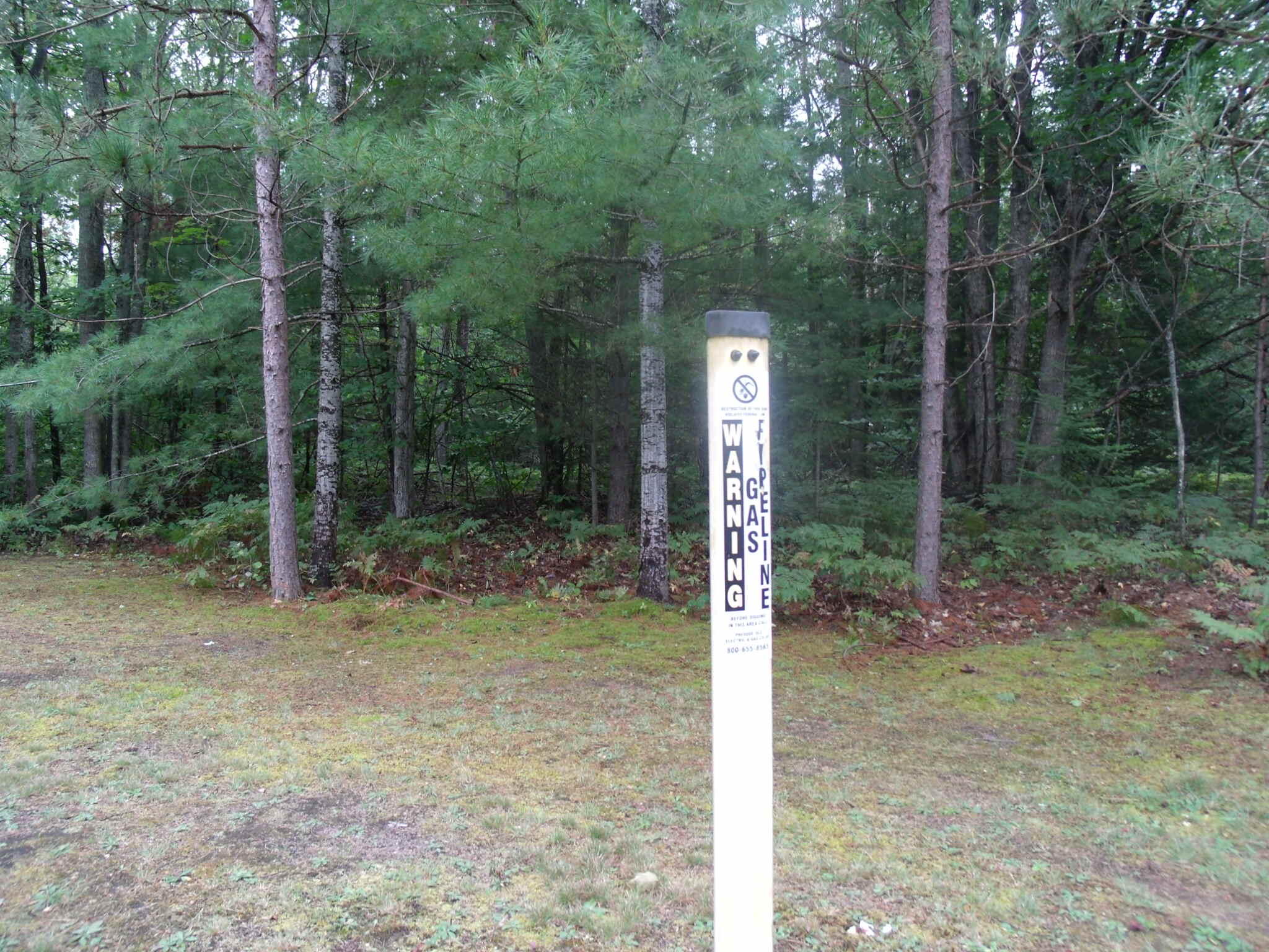 Cheboygan, Michigan 49721, United States, ,Land,Active,202841