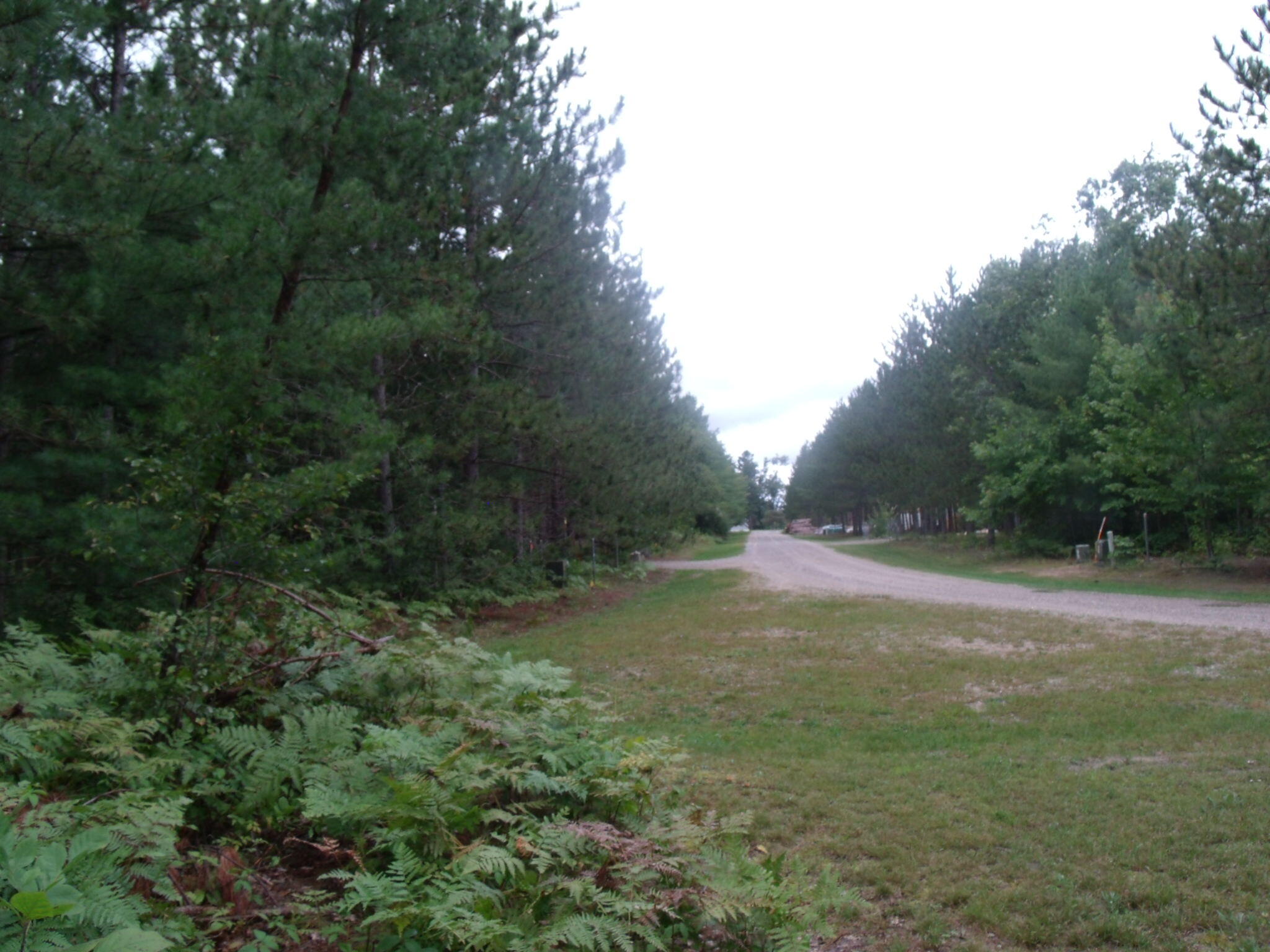 Cheboygan, Michigan 49721, United States, ,Land,Active,202841