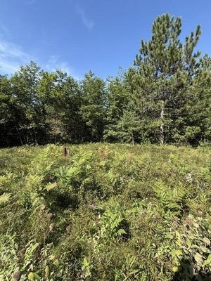 TRAIL RD, LEWISTON, MI 49756 - Image d051b2f8a59c32ea2326bbc89e931dfa/751901769