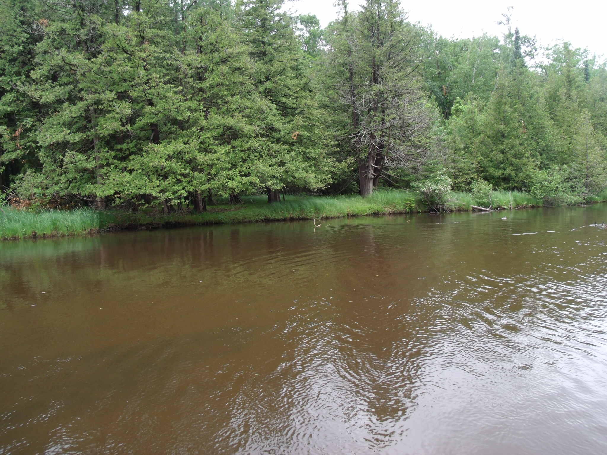 Indian River, Michigan 49749, United States, 2 Bedrooms Bedrooms, ,2 BathroomsBathrooms,Residential,Active,162655