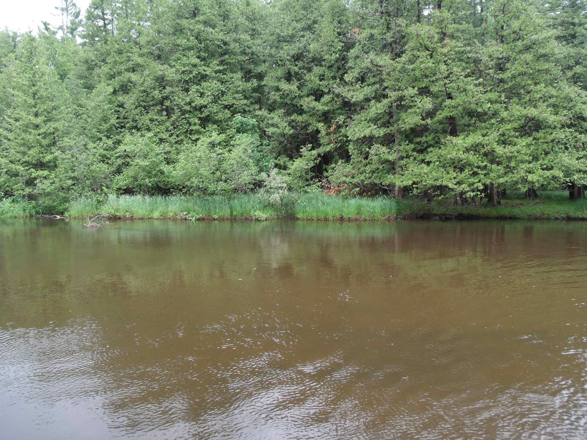 Indian River, Michigan 49749, United States, 2 Bedrooms Bedrooms, ,2 BathroomsBathrooms,Residential,Active,162655