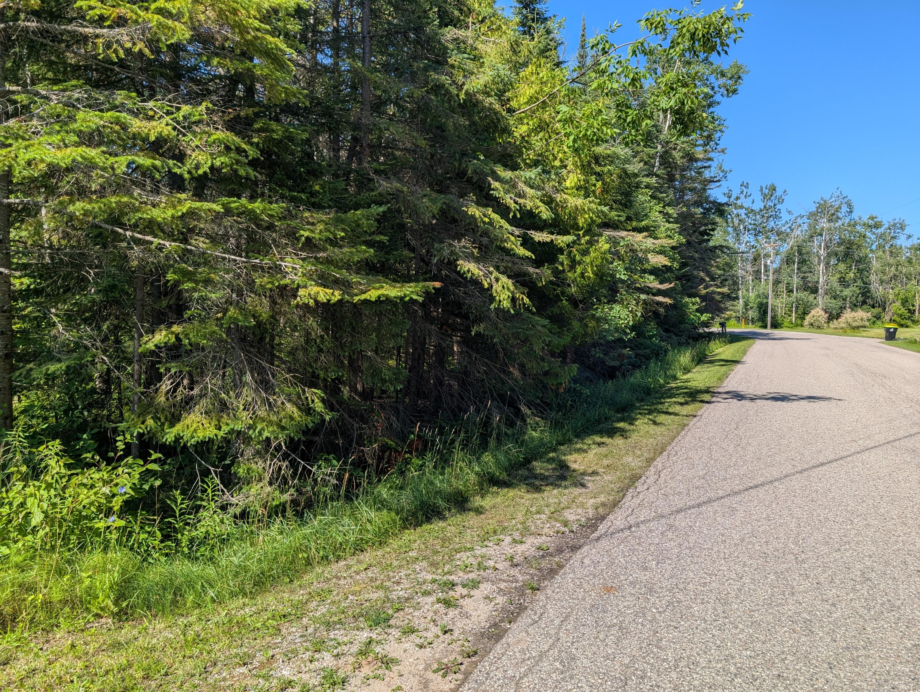 Cheboygan, Michigan 49721, United States, ,Land,Active,175703