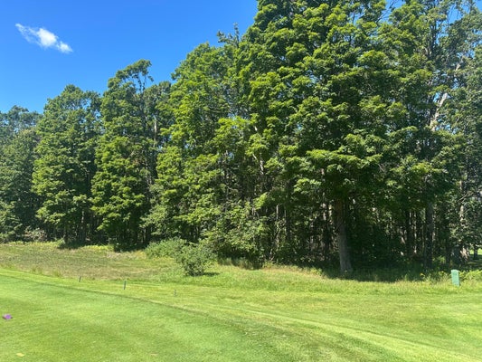 863 ARONIMINK DR, HARBOR SPRINGS, MI 49740 - Image d33f45c049b6da7391f5c9ca32bb17c4/20023654