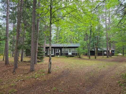 2230 IRENE AVE, GRAYLING, MI 49738 - Image d3e9be3230a3130fbaca04b0c8f7cfa2/2683644329