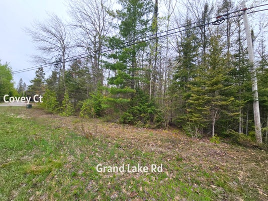 PRESQUE ISLE PARK DR, PRESQUE ISLE, MI 49777 - Image d69f794f2aedb7a51cfb3366e5b9f360/3654904342