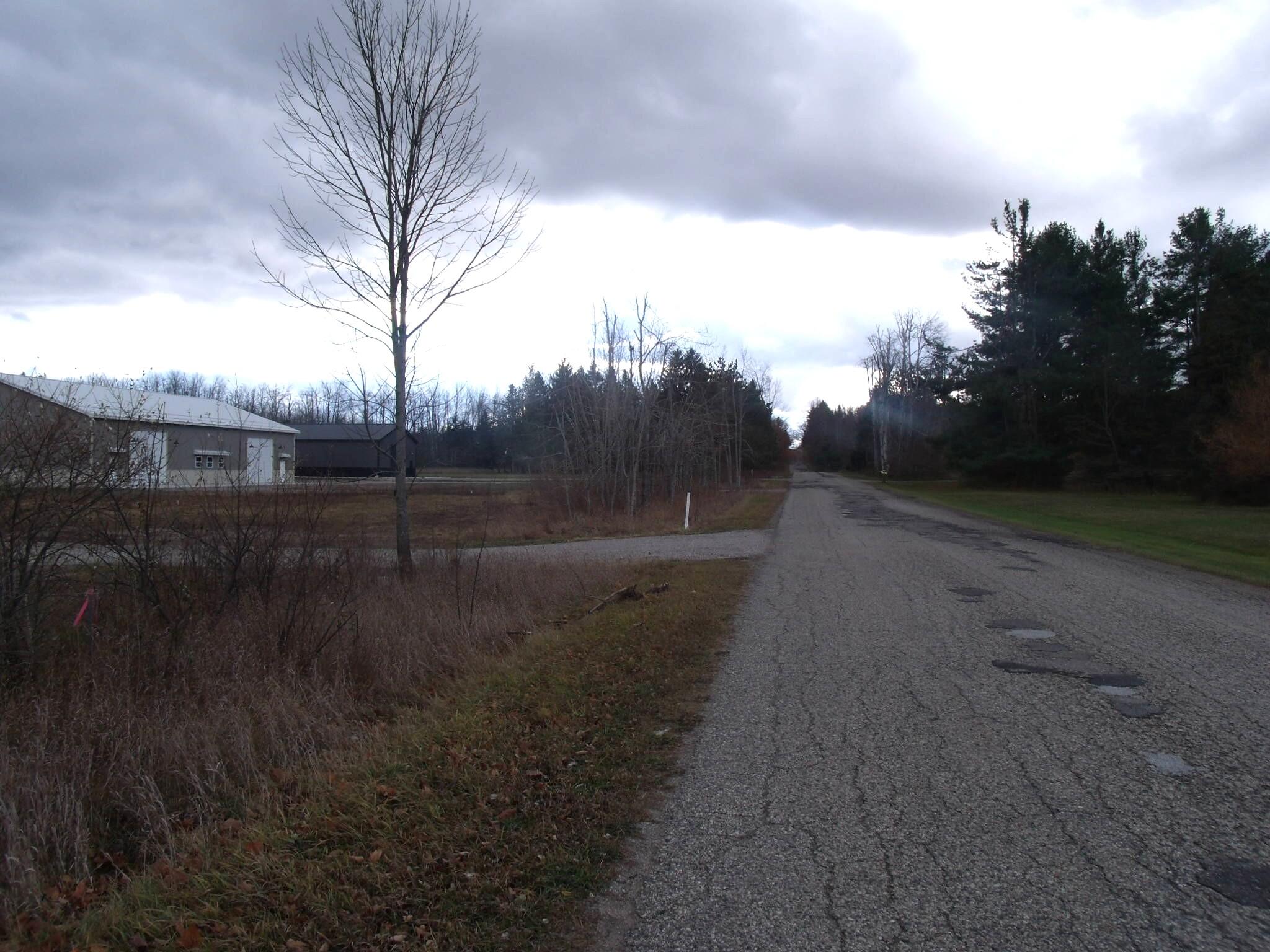 Alanson, Michigan 49706, United States, ,Land,Active,248175