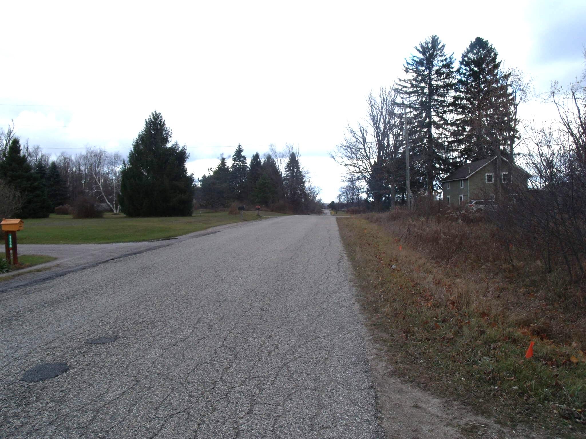 Alanson, Michigan 49706, United States, ,Land,Active,248175