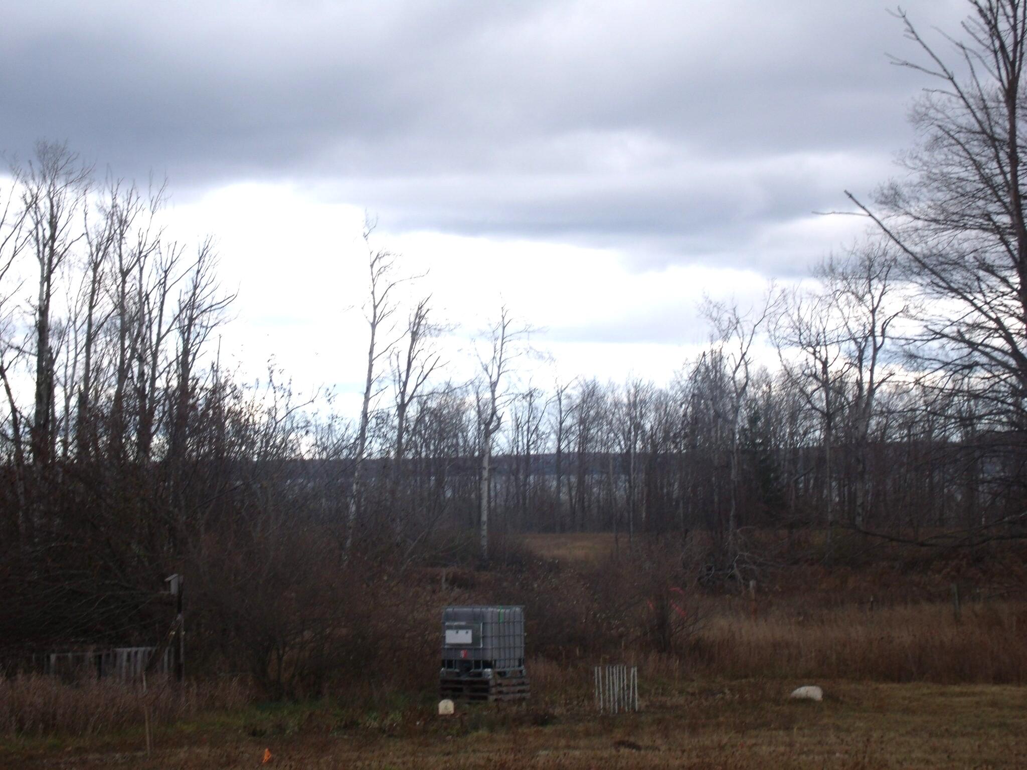 Alanson, Michigan 49706, United States, ,Land,Active,248175