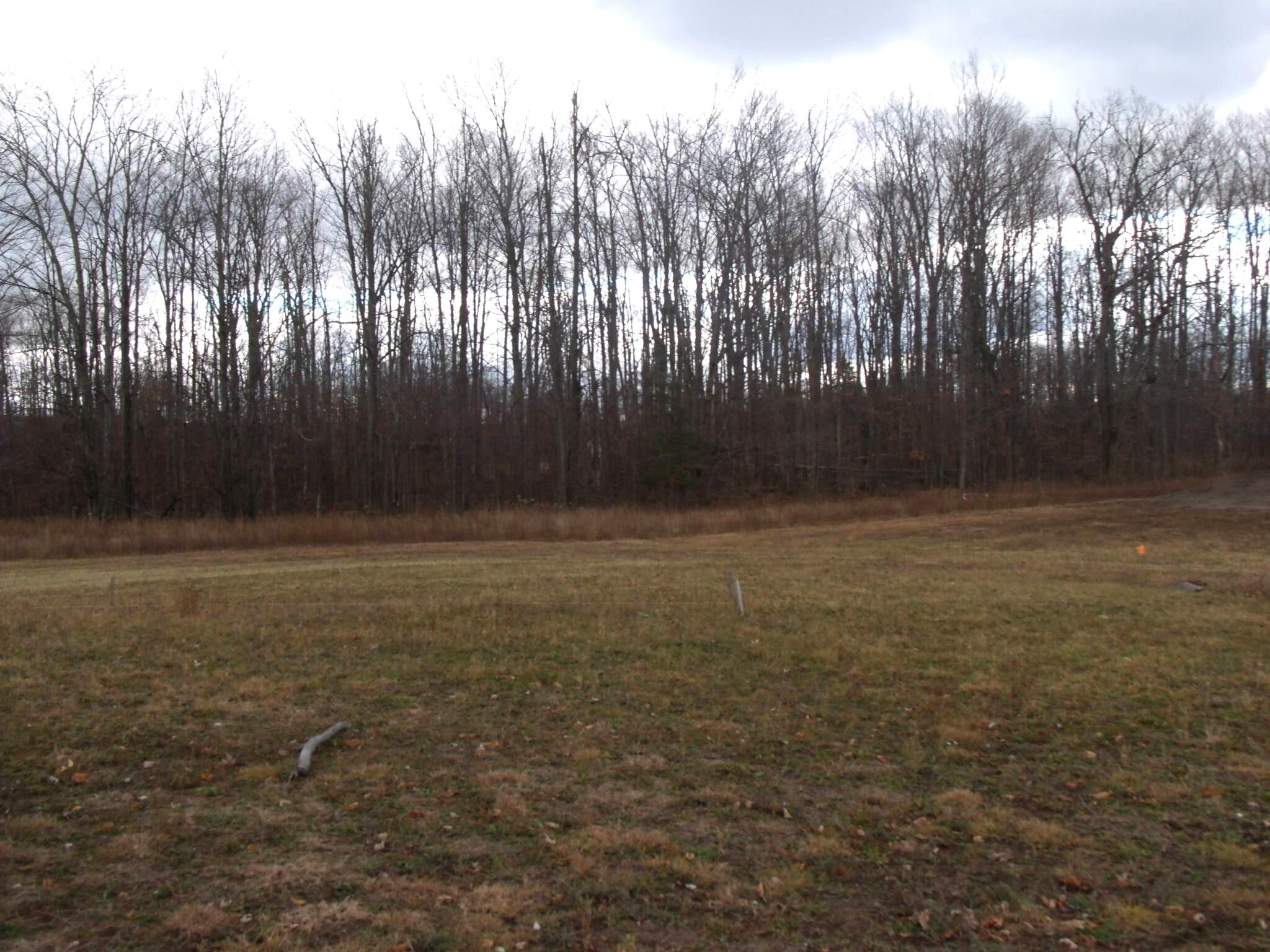 Alanson, Michigan 49706, United States, ,Land,Active,248175