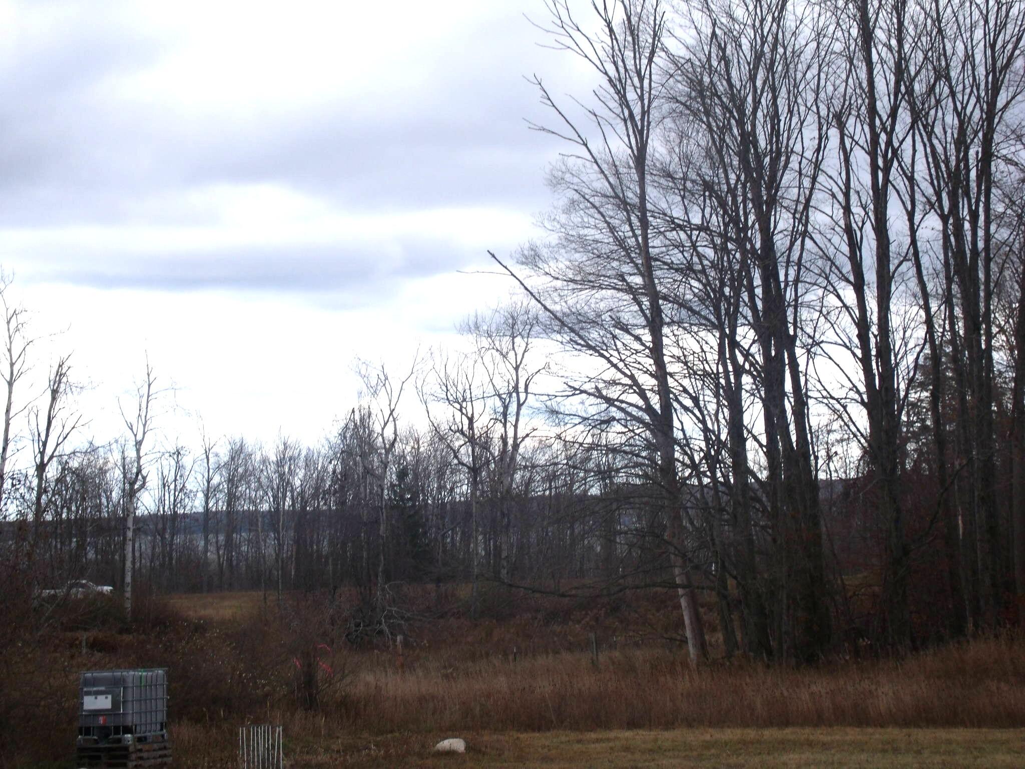 Alanson, Michigan 49706, United States, ,Land,Active,248175