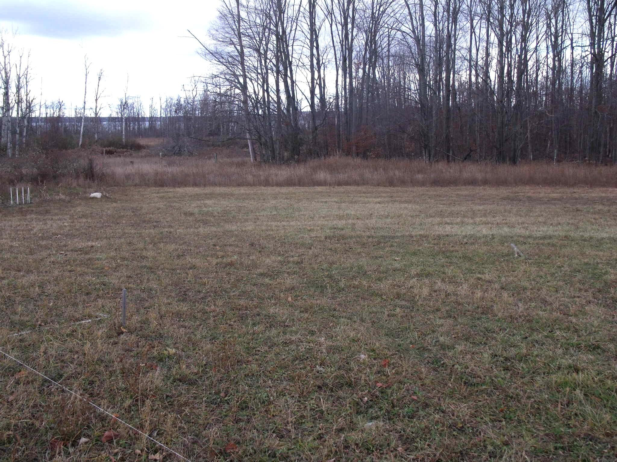 Alanson, Michigan 49706, United States, ,Land,Active,248175