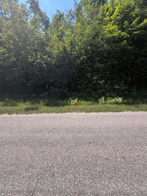 9632 MOUNT FREDERICK RD, GAYLORD, MI 49735 - Image e74861a3e503042e13817a7bf036cfdc/427723505