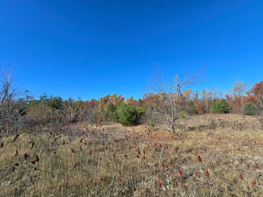 ADDRESS PRIVATE, GAYLORD, MI 49735 - Image e7b2dc11b11c22ab27c4e55235039617/2977130261