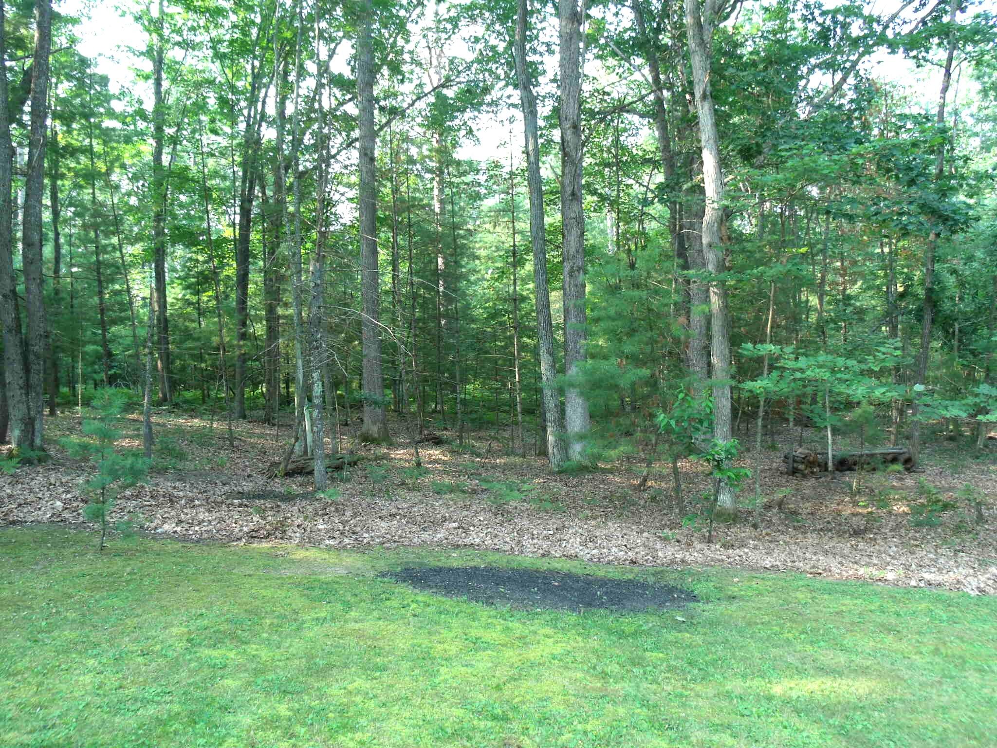 Indian River, Michigan 49749, United States, 4 Bedrooms Bedrooms, ,3 BathroomsBathrooms,Residential,Active,202039