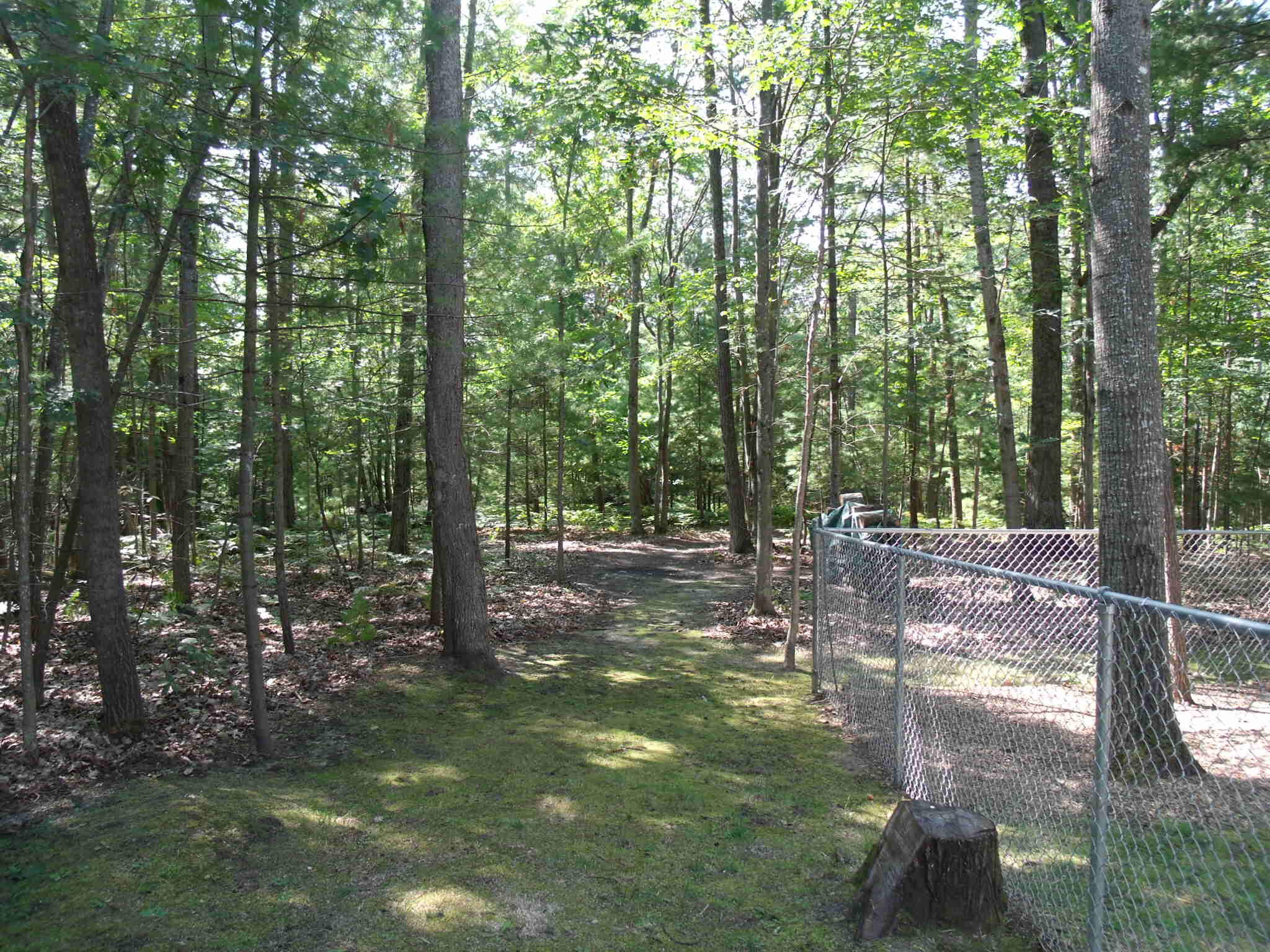 Indian River, Michigan 49749, United States, 4 Bedrooms Bedrooms, ,3 BathroomsBathrooms,Residential,Active,202039