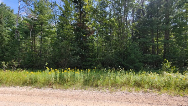 AVE DU CHALET, WOLVERINE, MI 49799 - Image ecf49c8ead3f6b48fd92e5e1919d68a6/2380773854