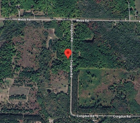 CONGDON RD, WOLVERINE, MI 49799 - Image eecebfc2c2c22b8d6e26f5c6c9b7a8d0/1934070766