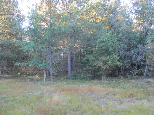 1540 S STEPHAN BRIDGE RD # 2.5, GRAYLING, MI 49738 - Image f089ede4666fdfbeced5ca04f94fb310/2917904861