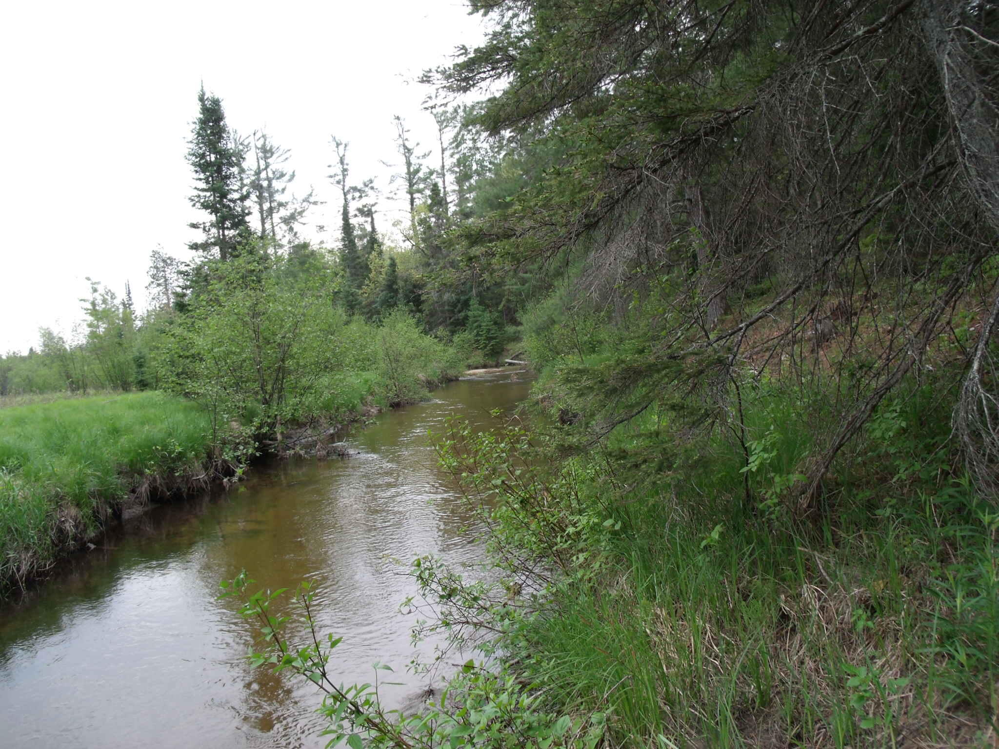 Indian River, Michigan 49749, United States, ,Land,Contingent,61867