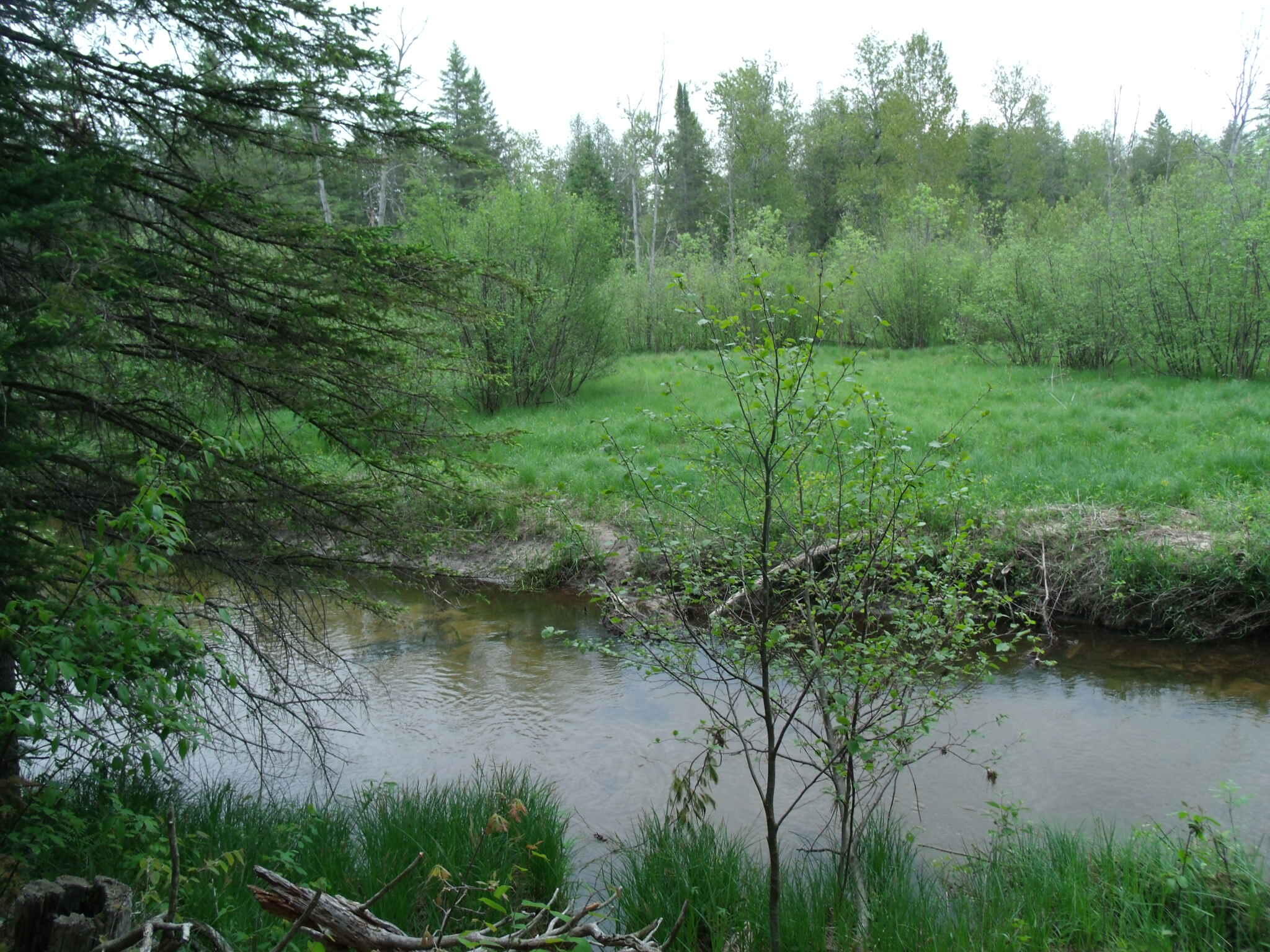 Indian River, Michigan 49749, United States, ,Land,Contingent,61867